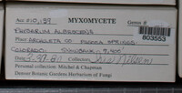 Image Associated With the Occurence